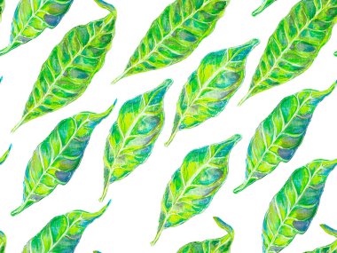 Yaz Vintage Arkaplanı. Green ve Aqua Menthe Vibrant Sakura ve Jasmine Print. Biyo Jasmin Kusursuz Şablon. Suluboya Turuncu Çiçek ve Yapraklar. Çiçek Ayurveda Deseni.