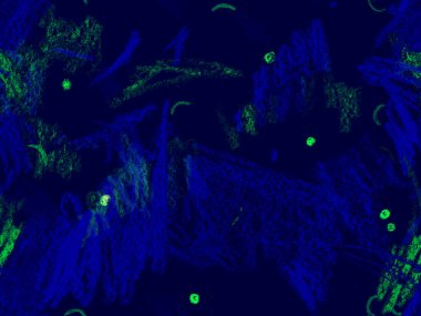 Etnik El Çekim Başlığı. Sevimli Büyük Moda Geometrik Kusursuz Mavi Şablon, Yatay Şablon İndigo Arkaplanı. Büyük Moda Asgari Baskı. Geometrik El Çizim Başlığı.