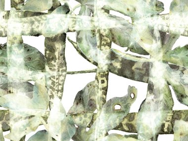 Suluboya kusursuz desen bırakır. Yeşil ve Aqua Menthe Egzotik Mayo Tasarımı. Hawaii Kova Parmak izi. Klasik Eko Uyum. Yaz Çiçeği Arkaplanı. Botanik Ormanı Çizimi.