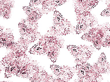 Kırmızı ve Pembe Hayvani Şablon. Suluboya el izi. Afrika egzotik kamuflajı. Geometrik suluboya arka plan. Vahşi hayvan kürkü dokusu. Suluboya El Boyalı Cilt Deseni.