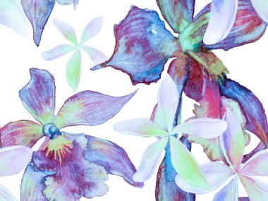 Mavi ve İndigo Orkidesi Kusursuz Şablon. Suluboya Çiçek Geçmişi. Tropik Yaz Baskısı. Egzotik Hawaii Tasarımı. Tayland döşeme dokusu. Orkideli mayo baskısı, Palm Leaves.