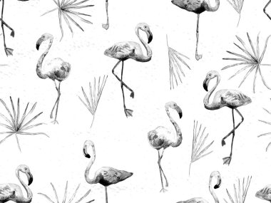 Büyük flamingo siyah, beyaz, pürüzsüz Hawaii deseni. Yaz tropikal kuşları sonsuz baskıyı suluboya. Doymuş hippi mayo, tüylü kuşları olan fayanslar. Flamingolu yatay fayans.