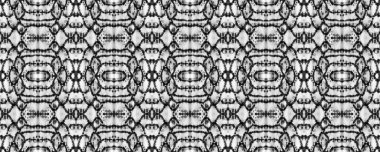 Suluboya Etnik Tasarım. Boya fırçası Python arka planı. Sembol geometrik mayo deseni. Yılan Derisi Rastgele Doku. Etnik Kusursuz Düzen. Siyah ve Beyaz Dikdörtgen İkat Uyumluluğu.