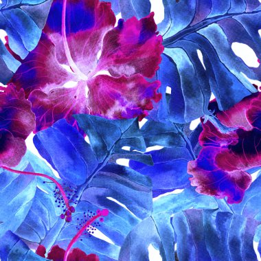 Yaz döngüsü. Suluboya tropik çiçekler ve canavar yaprakları. Palm ve Hibiscus ormanları pürüzsüz. Bahar Hawaii suluboya geçmişi. Avuç içleri, canavarlar, mayo izleri..