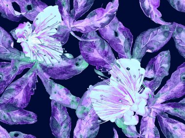 Bold Floral Print. Mor Arkaplanda Büyük Egzotik Kusursuz Parmak izi. Büyük Egzotik Bahar Maracuja Sonsuz Arkaplanı. Moda Kalın Çiçek Yazdırma.