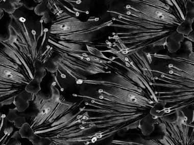 Kalın Çiçek deseni. Siyah ve Beyaz Arkaplanda Büyük Orman Kusursuz Parmak izi. Büyük Tropikal Bahar Kova Granadilla Sonsuz Arkaplanı. Modern Kalın Çiçek Deseni.