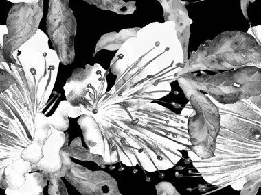 Cesur soyut çiçek deseni. Siyah ve Beyaz Arkaplanda Büyük Hawaii Kusursuz Yazısı. Büyük Tropik Yaz Kova Tutkusu Meyvesi Sonsuz Arkaplan. Modern Kalın Soyut Çiçek Deseni.