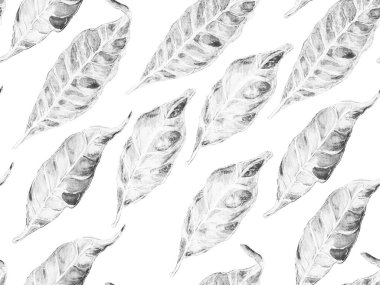 Monokrom ve Gri Tonlu Yaz Vintage Arkaplanı. Çiçek Ayurveda deseni. Canlı Sakura ve Jasmine Print. Biyo Jasmin Kusursuz Şablon. Suluboya Turuncu Çiçek ve Yapraklar.