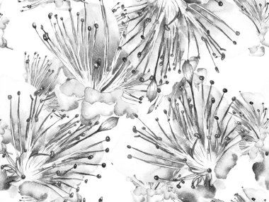 Kalın Çiçekler. Siyah ve Beyaz Arkaplanda Büyük Egzotik Kusursuz Parmak izi. Koca Orman Yaz Kova Lilikoi Sonsuz Arkaplan. Soyut Kalın Çiçek Yazdırma. 