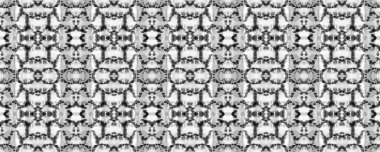 Yılan Derisi Rastgele Doku. Siyah ve Beyaz Dikdörtgen İkat Uyumluluğu. Suluboya Etnik Tasarım. Boya fırçası Python arka planı. Sembol geometrik mayo deseni. Etnik Kusursuz Desen.