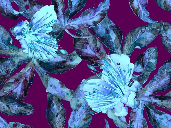 Bold Floral Print. Mor Arkaplanda Büyük Egzotik Kusursuz Parmak izi. Büyük Tropik Bahar Suluboya Granadilla Sonsuz Arkaplan. Moda Kalın Çiçek Yazdırma.