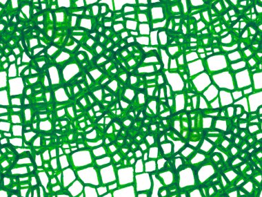 Timsah Kusursuz Şablon. Afrika Deri Çizimi. Yırtıcı Hayvan Derisi İzi. Ejderha Derisi Taklidi. Yeşil ve Aqua Menthe Hand Timsah desenli. Timsah Kapanış Arkaplanı.