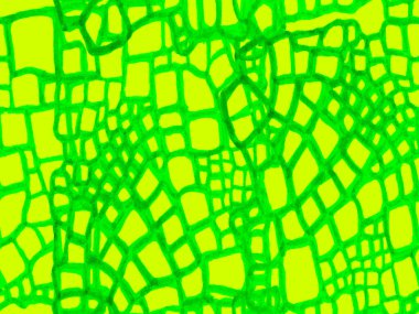 Yeşil ve Aqua Menthe Afrika Deri İllüstrasyonu. Yırtıcı Hayvan Derisi İzi. Ejderha Derisi Taklidi. El çizimi timsah deseni. Timsah Kusursuz Şablon. Timsah Kapanış Arkaplanı.