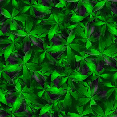 Tropikal Fransız çiçekleriyle kusursuz suluboya deseni. Plumeria arkaplanı.