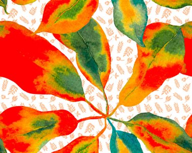 Schefflera Arboricola Kusursuz Düzen. Schefflera Actinophylla Hayata Tekrarlanan Süs Teal Green ve Kırmızı Evergreen Egzotik Çiçekli Walisongo Bitkisi. Botanik Suluboya Yazdırma.