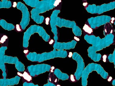 El çizimi Aspid Deseni. Afrika Safari Deri Çizimi. Elapidae Kapanış Arkaplanı. Yılan Derisi Parmak izi. Zehirli Ejder Taklidi. Aspid Pürüzsüz Düzen. Klasik Mavi ve İndigo