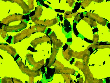 Afrika Safari Deri Çizimi. Elapidae Kapanış Arkaplanı. Yılan Derisi Parmak izi. Zehirli Ejder Taklidi. El çizimi Aspid Deseni. Aspid Pürüzsüz Düzen. Yeşil ve Su Mentonu