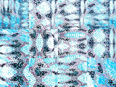 Canlı Geometrik Mayo Kalıbı. Etnik Kusursuz Düzen. Navy Blue ve Indigo Watercolor Etnik Tasarım. Yaz Rhombus Arkaplanı. Yılan Derisi Rastgele Doku. Coğrafi Simetrik İkat Uyumu.