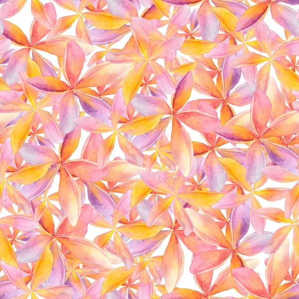 Seamless Watercolor Pattern Tropical Exotic Frangipani Flowers Plumeria Background — Stock Photo, Image