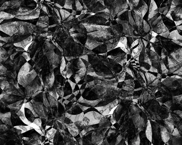 Schefflera Arboricola Padrão Sem Costura Schefflera Actinophylla Hayata Ornamento Repetido — Fotografia de Stock