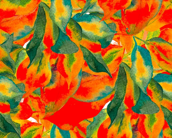 Schefflera Arboricola无缝隙图案 具有异型花的常绿异型万寿菊属植物 茶绿色和红色谢夫莱拉海雅塔复古装饰植物水彩画 — 图库照片