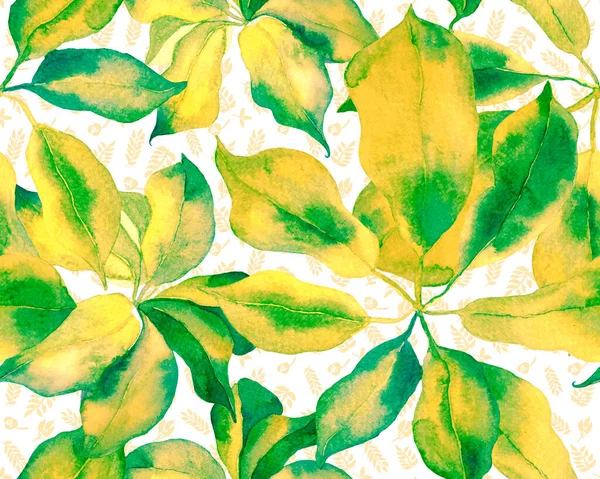 Schefflera Arboricola Seamless Pattern. Botanical Watercolor Print. Green and Teal Schefflera Actinophylla Hayata Repeated Ornament Evergreen Variegated Walisongo Plant with Exotic Flowers.