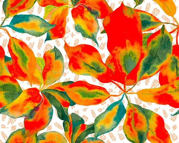 Schefflera Arboricola Seamless Pattern Τιλ Γκριν Και Κόκκινο Αειθαλές Ποικιλία — Φωτογραφία Αρχείου