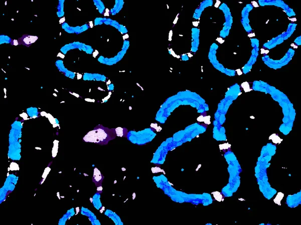 Klasik Mavi ve İndigo El Çizgili Asma Örnekleri. Yılan Derisi Parmak izi. Zehirli Ejder Taklidi. Aspid Pürüzsüz Düzen. Afrika Safari Deri Çizimi. Elapidae Kapanış Arkaplanı.