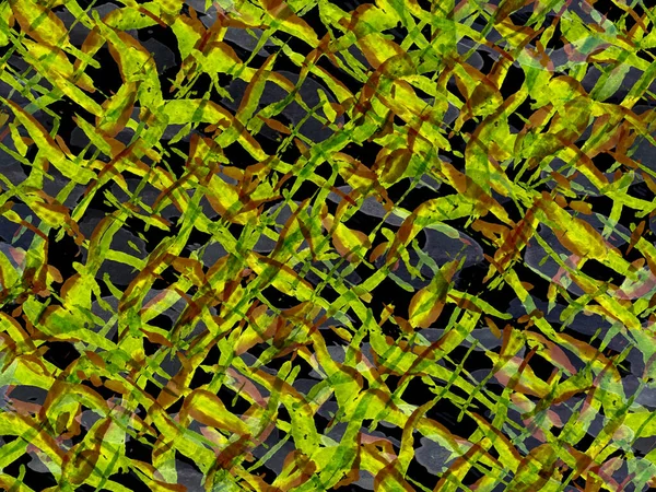 Cartera de ExoticVector Imágenes, vídeos, música de stock | Depositphotos®