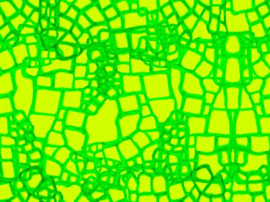 Yeşil ve Aqua Menthe timsah desensiz. Yırtıcı Hayvan Derisi İzi. Ejderha Derisi Taklidi. El çizimi timsah deseni. Afrika Deri Çizimi. Timsah Kapanış Arkaplanı.