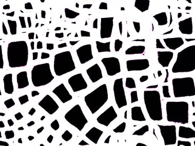 El çizimi timsah deseni. Timsah Kapanış Arkaplanı. Tek renkli ve Gri pullu timsah desenli. Afrika Deri Çizimi. Yırtıcı Hayvan Derisi İzi. Ejder Derisi Taklidi.