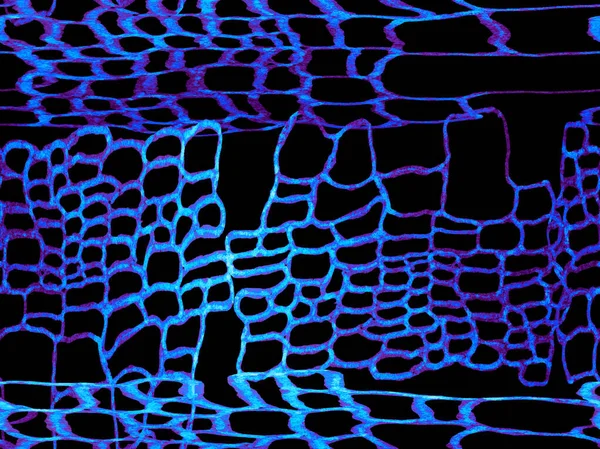プレデターアニマルスキンプリント ドラゴンスキン模倣 アリゲーター閉鎖の背景 クラシックなブルーとインディゴクロコダイルシームレスパターン 手描きクロコダイルパターン アフリカ動物革イラスト — ストック写真
