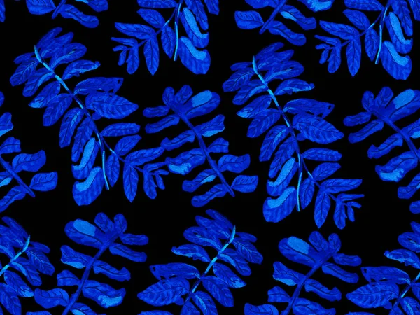 Eenvoudig Tropisch Schoon Naadloos Patroon Blauwe Indigo Exotische Zwemkleding Foliage — Stockfoto