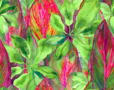 Schefflera Arboricola Kusursuz Düzen. Schefflera Aktinophylla Hayata Tekrarlanan Süslü Botanik Suluboya Yazısı. Evergreen Variegated Walisongo Bitkisi ve Egzotik Çiçekler. Yeşil ve Teal