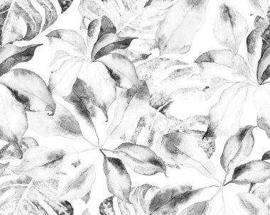 Schefflera Arboricola Kusursuz Düzen. Evergreen Variegated Walisongo Bitkisi ve Egzotik Çiçekler. Tek renkli ve gri tonlu botanik suluboya baskı. Schefflera Aktinophylla Hayata Tekrarlanan Süs