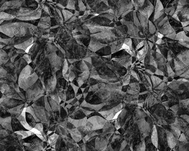 Schefflera Arboricola Kusursuz Düzen. Evergreen Variegated Walisongo Bitkisi ve Egzotik Çiçekler. Schefflera Aktinophylla Hayata Tekrarlanan Süs Monokromu ve Gri Tonlu Botanik Suluboya Yazısı.