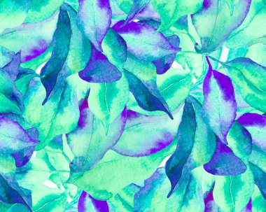 Schefflera Arboricola Kusursuz Düzen. Botanik Suluboya Yazdırma. Green ve Teal Evergreen egzotik çiçekli Walisongo Bitkisi. Schefflera Aktinophylla Hayata Tekrarlanan Süs