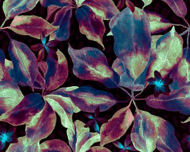 Schefflera Arboricola Kusursuz Düzen. Botanik Suluboya Yazdırma. Tidewater Green ve Blue Schefflera Aktinophylla Hayata. Egzotik çiçeklerle süslenmiş Evergreen Variegated Walisongo Bitkisi..