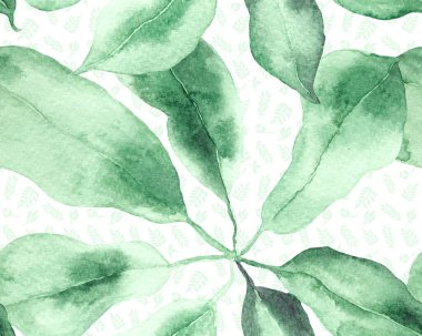 Schefflera Arboricola Kusursuz Düzen. Green ve Teal Evergreen egzotik çiçekli Walisongo Bitkisi. Botanik Suluboya Yazdırma. Schefflera Aktinophylla Hayata Tekrarlanan Süs