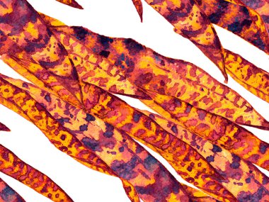 Yaz Çiçeği Arkaplanı. Botanik Ormanı Çizimi. Pas turuncu suluboya kusursuz deseni bırakıyor. Egzotik Mayo Tasarımı. Hawaii Kova Parmak izi. Vintage Eko Uyumu. 