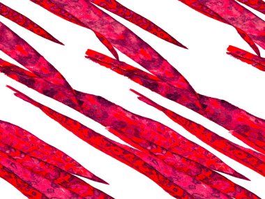 Kızıl Suluboya Tertemiz Kalıp 'ı terk ediyor. Klasik Eko Uyum. Egzotik Mayo Tasarımı. Hawaii Kova Parmak izi. Yaz Çiçeği Arkaplanı. Botanik Ormanı Çizimi.