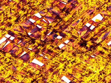 Yaz Çiçeği Arkaplanı. Botanik Ormanı Çizimi. Egzotik Mayo Tasarımı. Hawaii Kova Parmak izi. Paslı Turuncu Vintage Eko İlişkisi. Suluboya Tertemiz Desen 'i Bırakıyor.