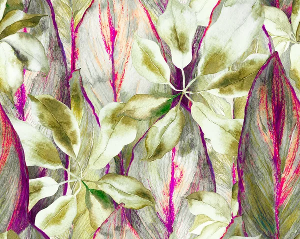 Schefflera Arboricola Naadloos Patroon Evergreen Variate Walisongo Plant Met Exotische — Stockfoto