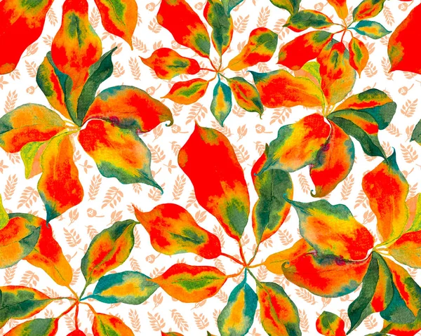 Schefflera Arboricola Seamless Pattern Evergreen Variegated Walisongo Plant Exotic Flowers — 스톡 사진