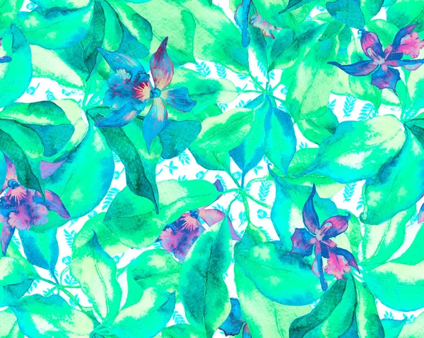 Schefflera Arboricola Nahtloses Muster Immergrüne Walisongo Pflanze Mit Exotischen Blüten — Stockfoto