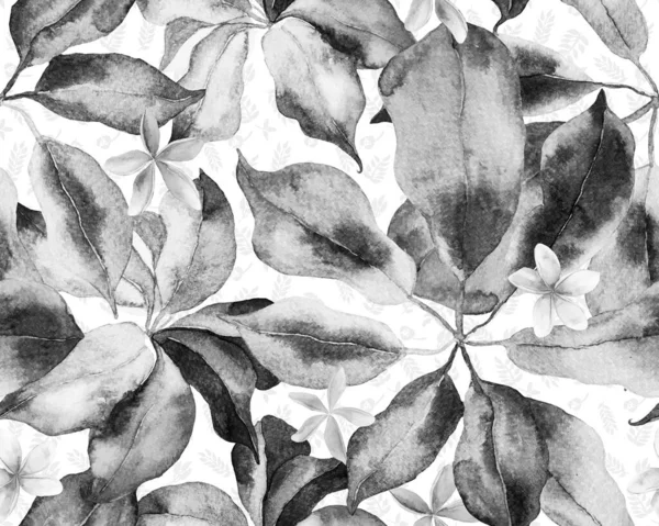 Schefflera Arboricola Seamless Pattern Botanical Watercolor Print Schefflera Actinophylla Hayata — Stock Photo, Image