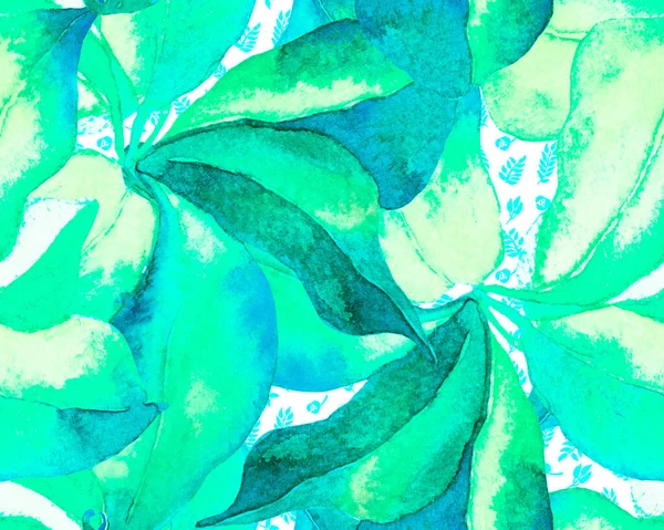 Schefflera Arboricola Seamless Pattern Βότανο Υδατογραφία Εκτύπωση Πράσινο Και Τηλ — Φωτογραφία Αρχείου