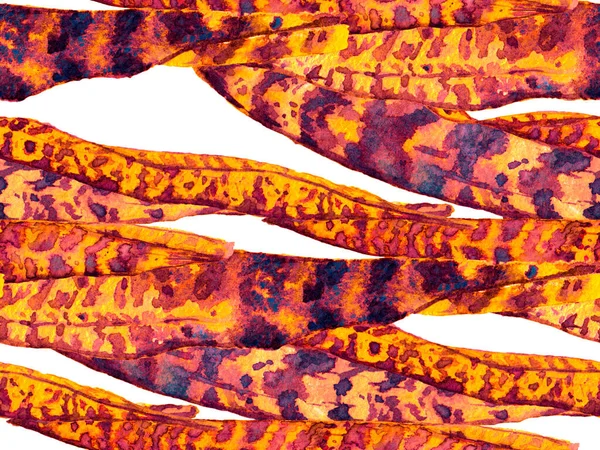 Akvarel Opouští Bezešvý Vzor Ročník Eco Rapport Rust Orange Exotic — Stock fotografie