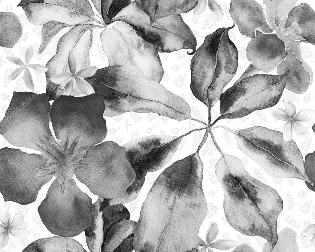 Schefflera Arboricola Seamless Pattern. Evergreen Variegated Walisongo Plant with Exotic Flowers. Schefflera Actinophylla Hayata Repeated Ornament Monochrome and Greyscale Botanical Watercolor Print.