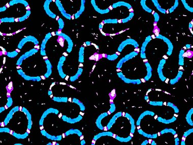 Yılan Derisi Parmak izi. Zehirli Ejder Taklidi. Elapidae Kapanış Arkaplanı. Afrika Safari Deri Çizimi. El çizimi Aspid Deseni. Aspid Pürüzsüz Düzen. Klasik Mavi ve İndigo